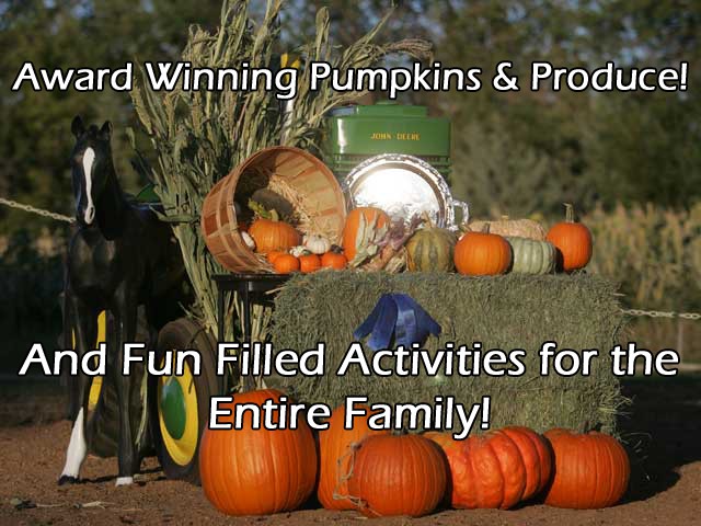 Award Winning Pumpkins