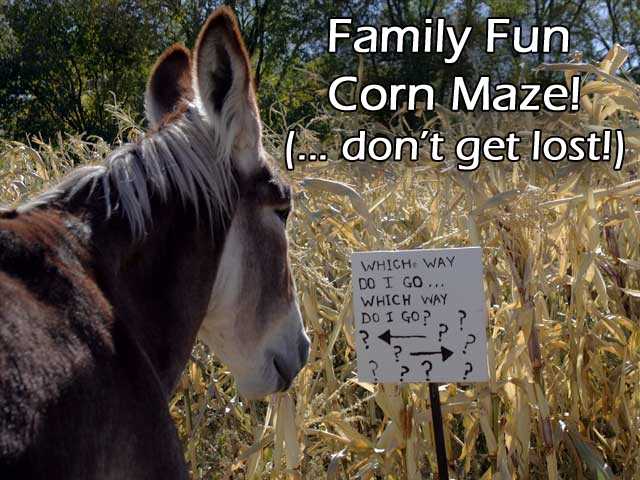 Family Fun Maze