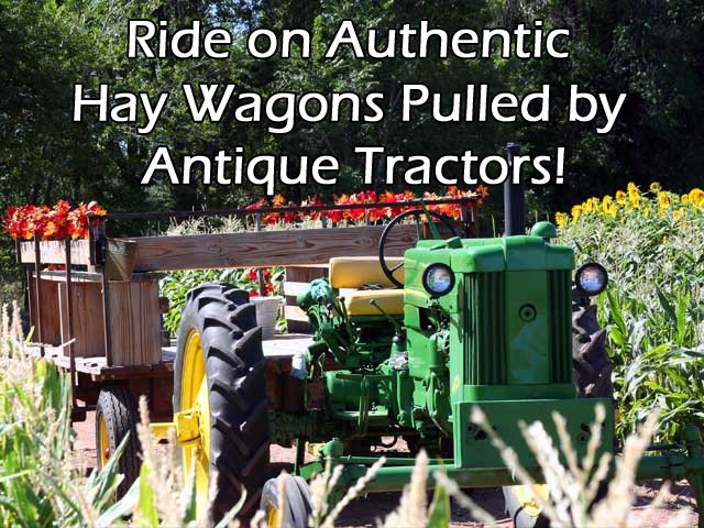 Hay Rides