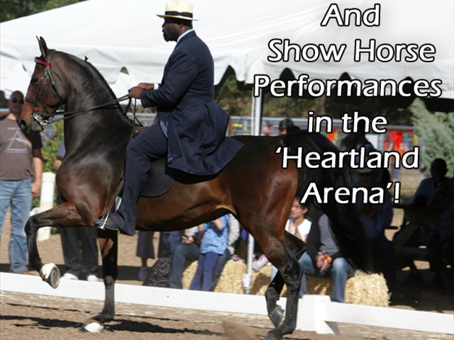 Horsesa