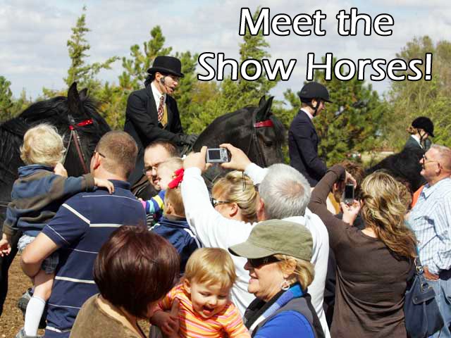 Horsesb