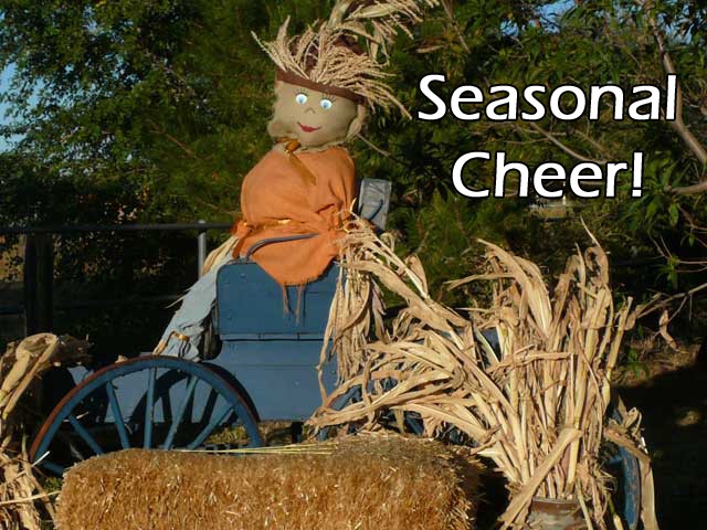 Seasonal Cheer
