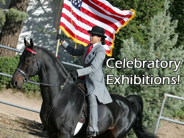 Stallion Demonstration